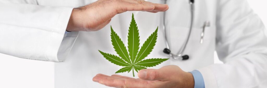 Cannabis domains for your online business success Cannabis domains for your online business success